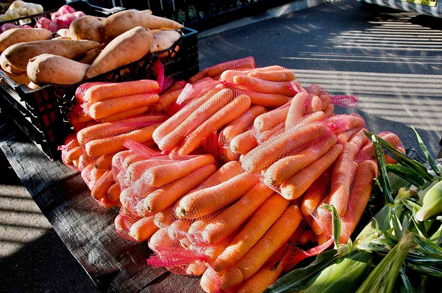 Farmers Market located in Gosford, New South Wales, Australia. 