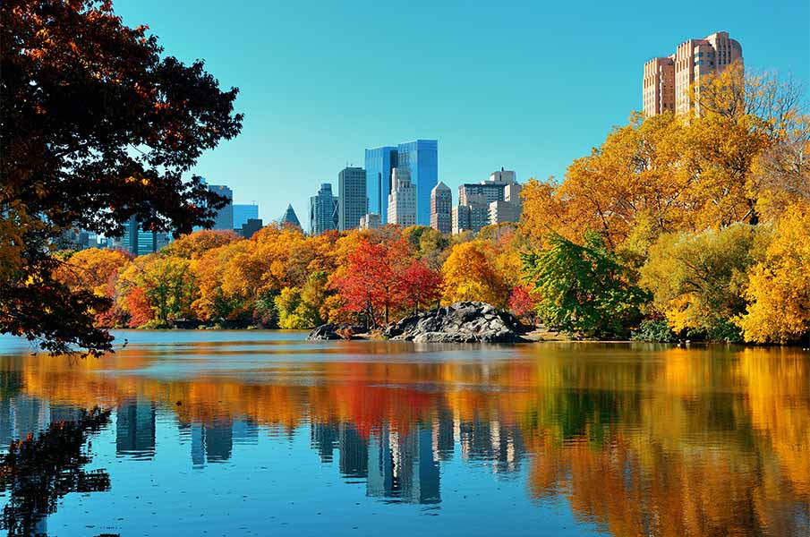 Central Park, Autumn and buildings reflection in midtown Manhattan, NYC