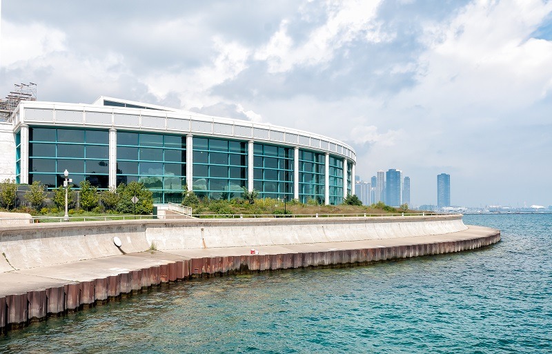 Shedd Aquarium Chicago