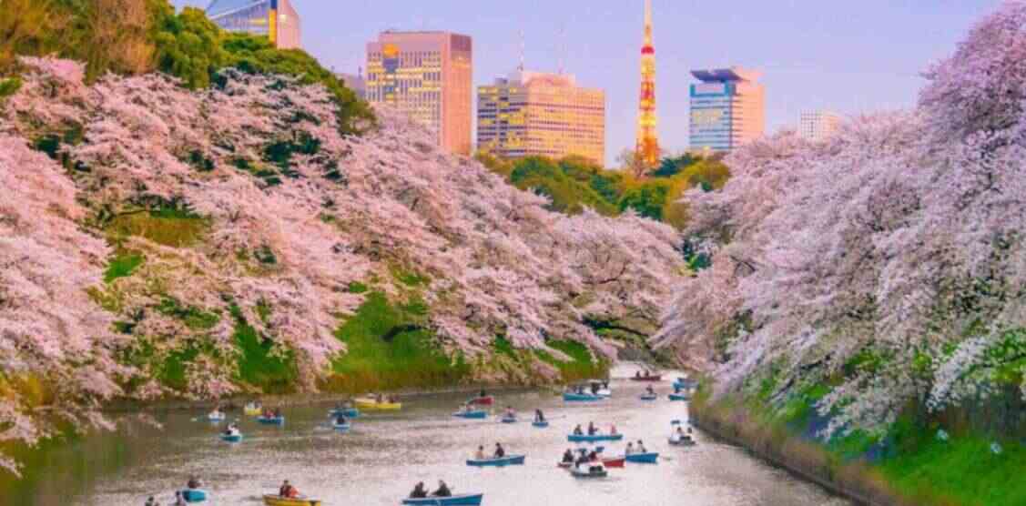 Tokyo, Japan